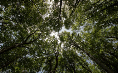 “Gli Accademici raccontano”