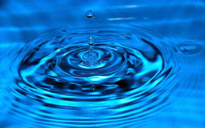 Scuola: incontro su Etica ambientale