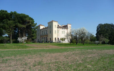 Una pubblicazione sui Trissino e villa Cricoli