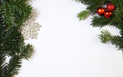 Biblioteca: riapertura martedì 12 gennaio