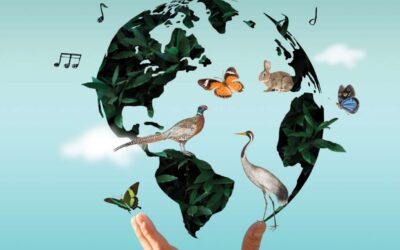 Biodiversità: scienza, musica e letteratura