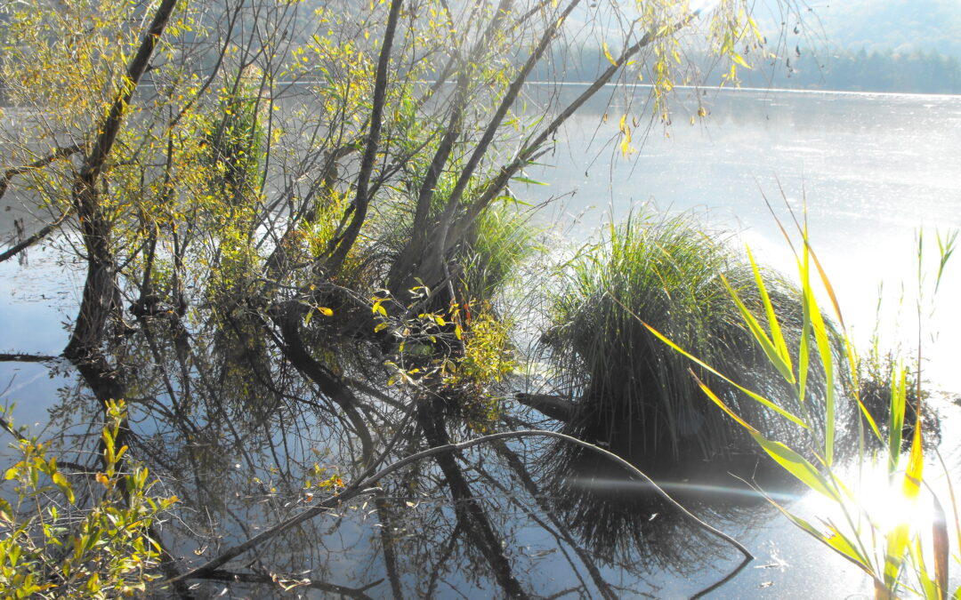 Uno scorcio del lago di Fimon