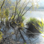 Uno scorcio del lago di Fimon