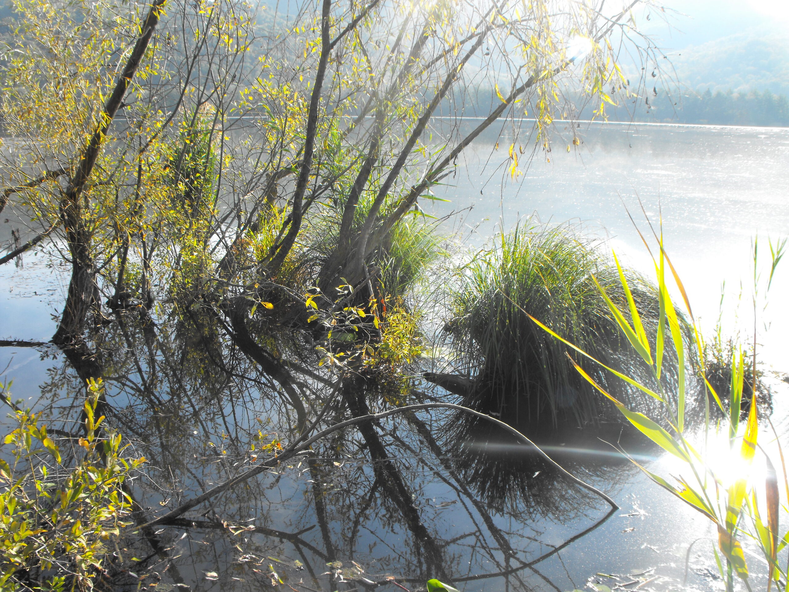 Uno scorcio del lago di Fimon